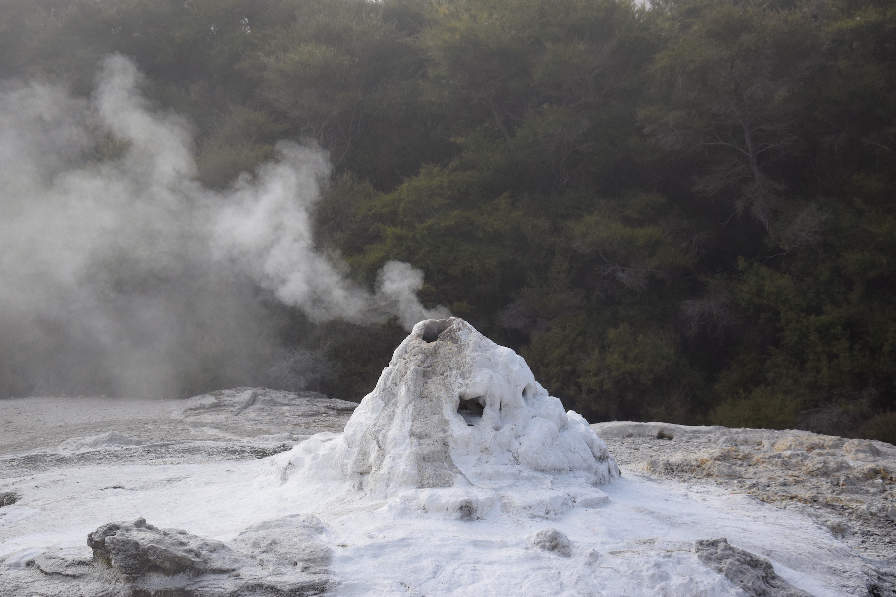 Lady-Knox-Geysir