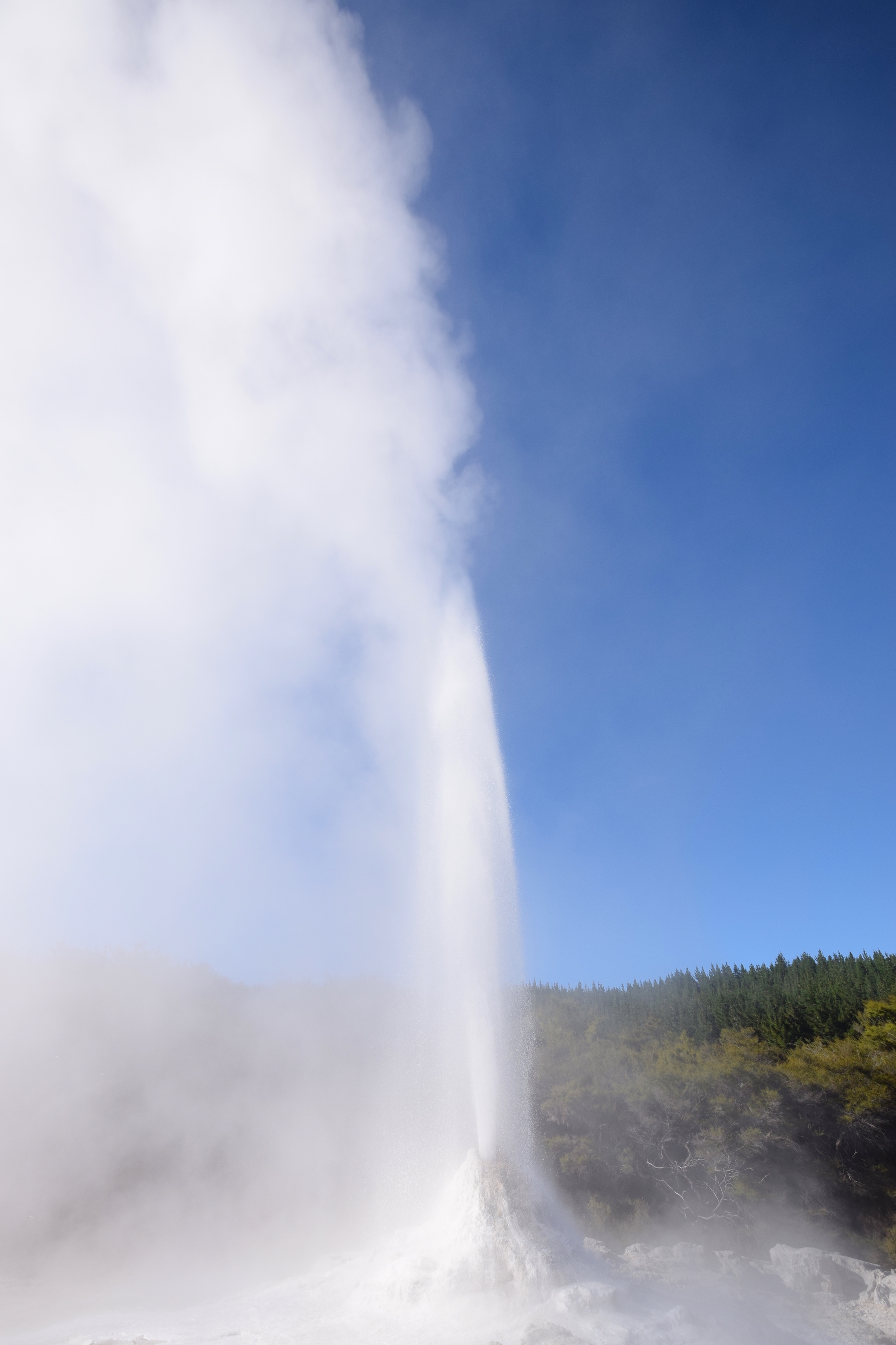 Lady-Knox-Geysir