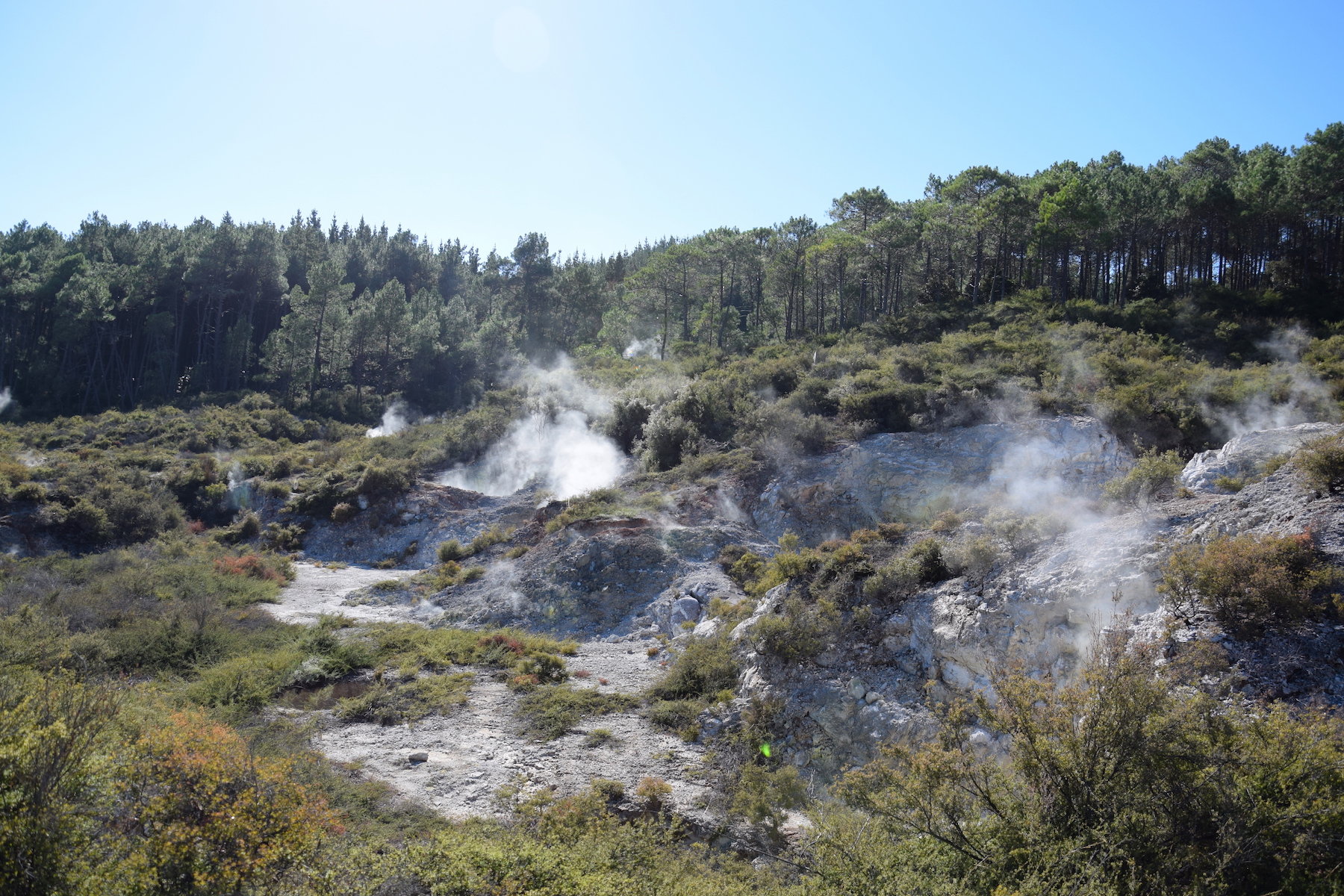 Waiotapu Thermal Wonderland